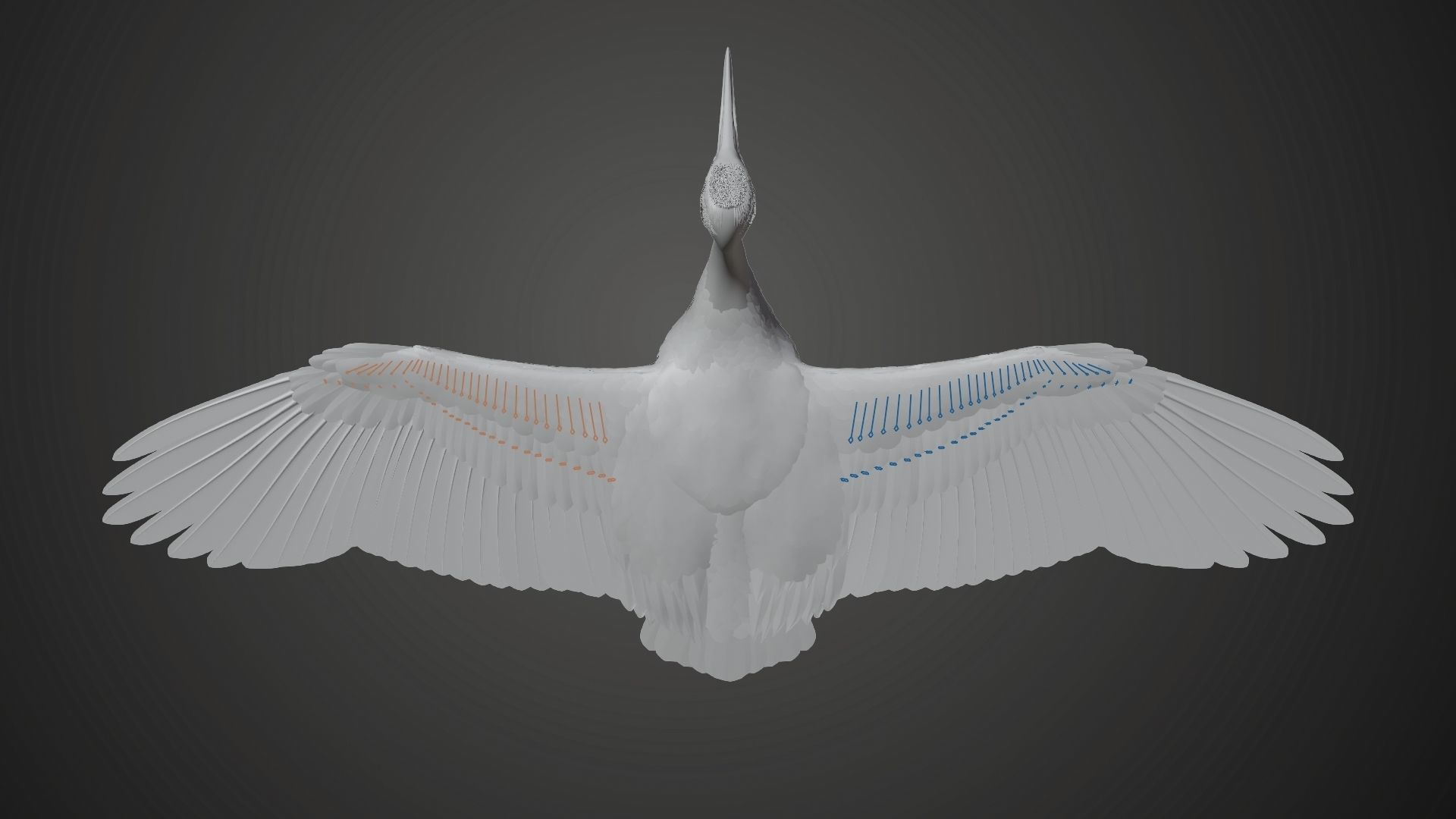 Red-Crowned Crane Animation VFX Grace 3D model_34