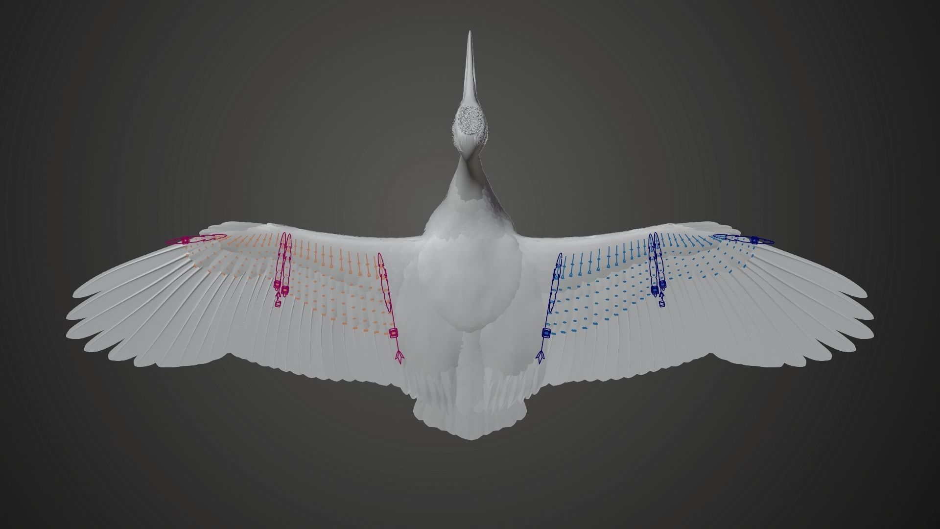 Red-Crowned Crane Animation VFX Grace 3D model_33