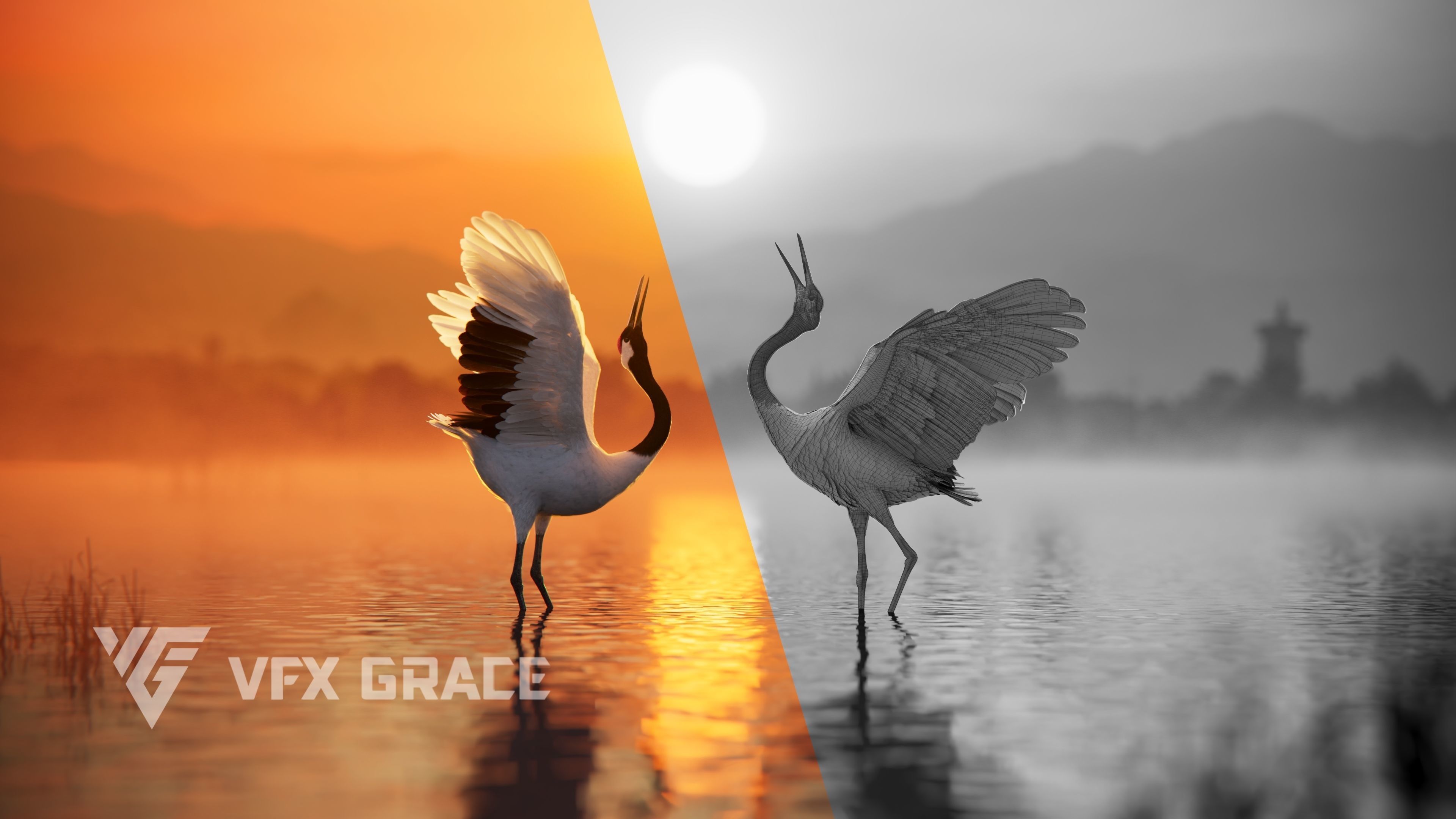 Red-Crowned Crane Animation VFX Grace 3D model_13
