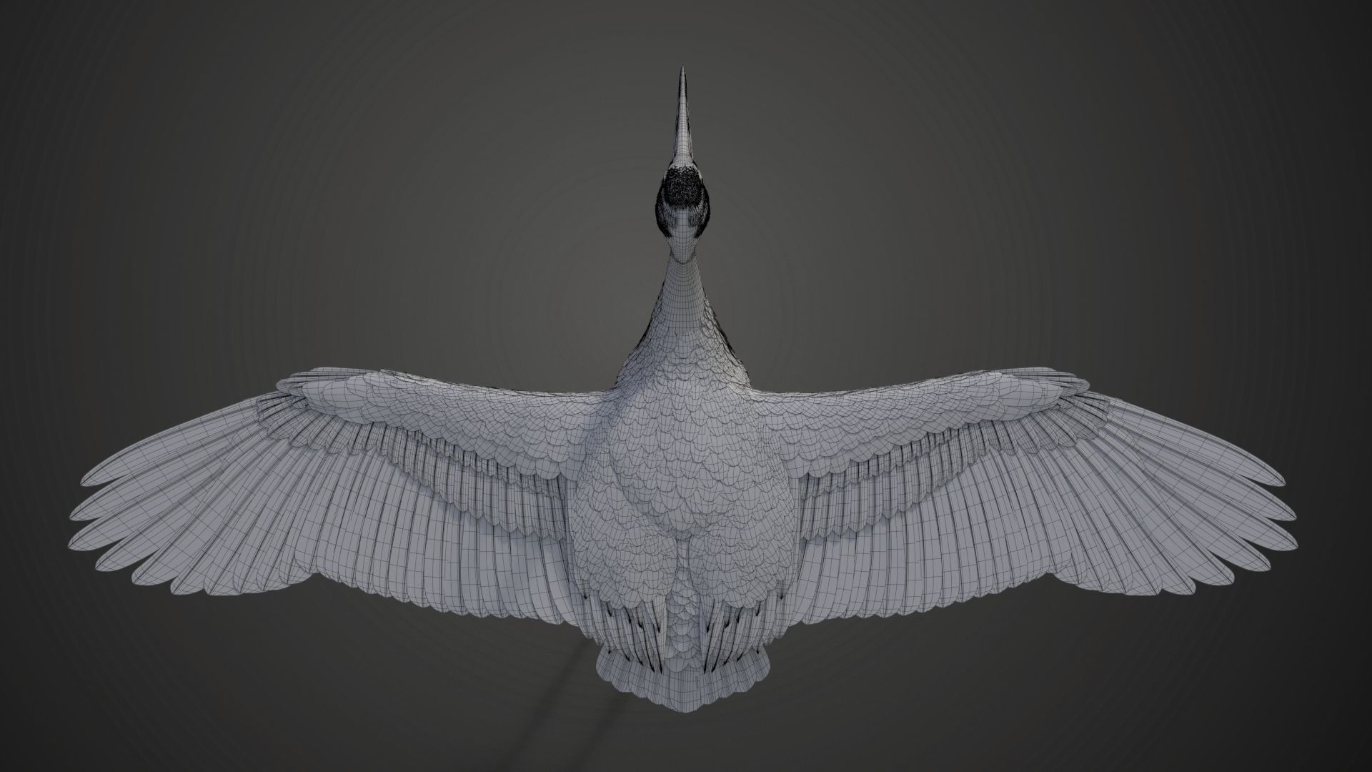 Red-Crowned Crane Animation VFX Grace 3D model_58
