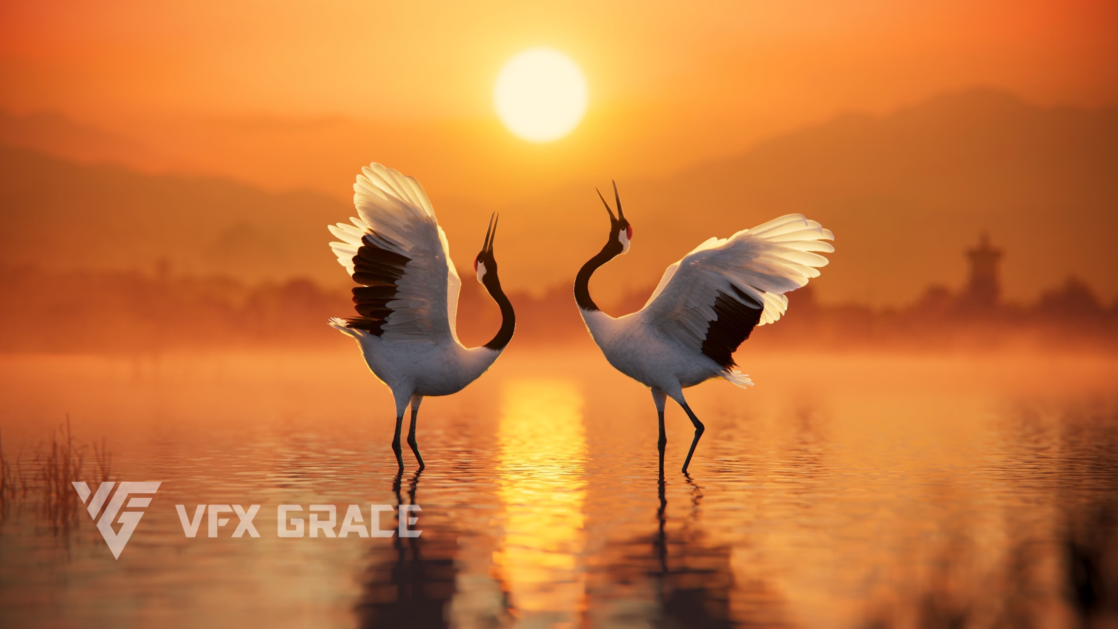Red-Crowned Crane Animation VFX Grace 3D model_12