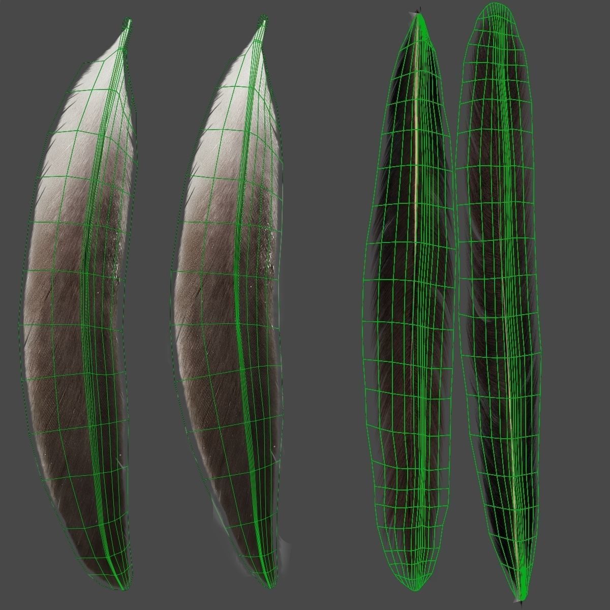 Red-Crowned Crane Animation VFX Grace 3D model_44