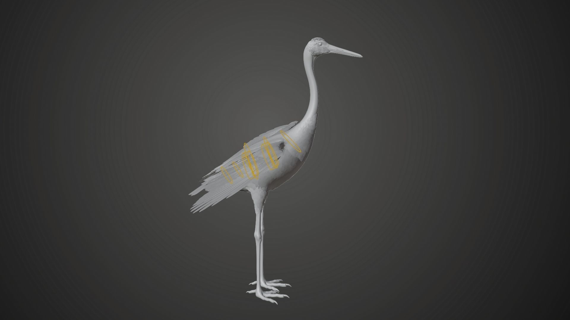 Red-Crowned Crane Animation VFX Grace 3D model_29