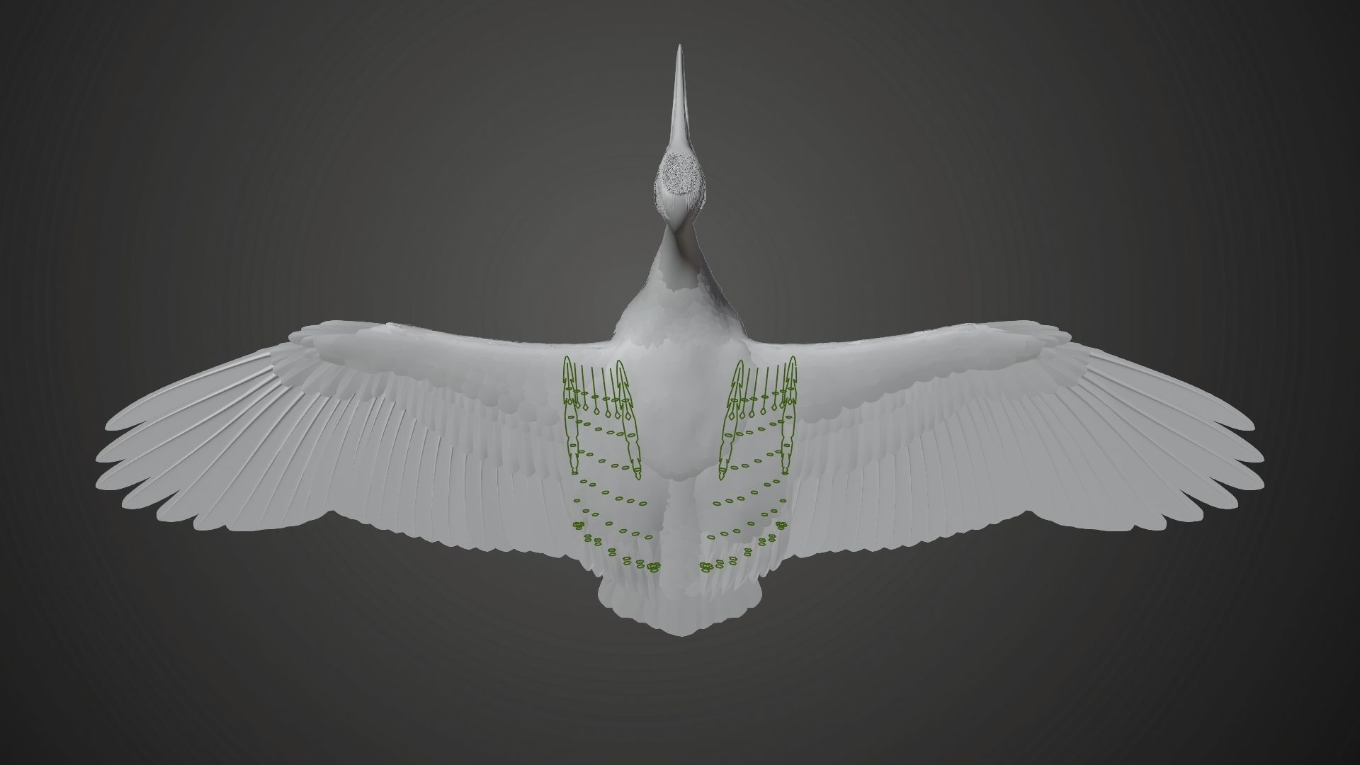 Red-Crowned Crane Animation VFX Grace 3D model_35