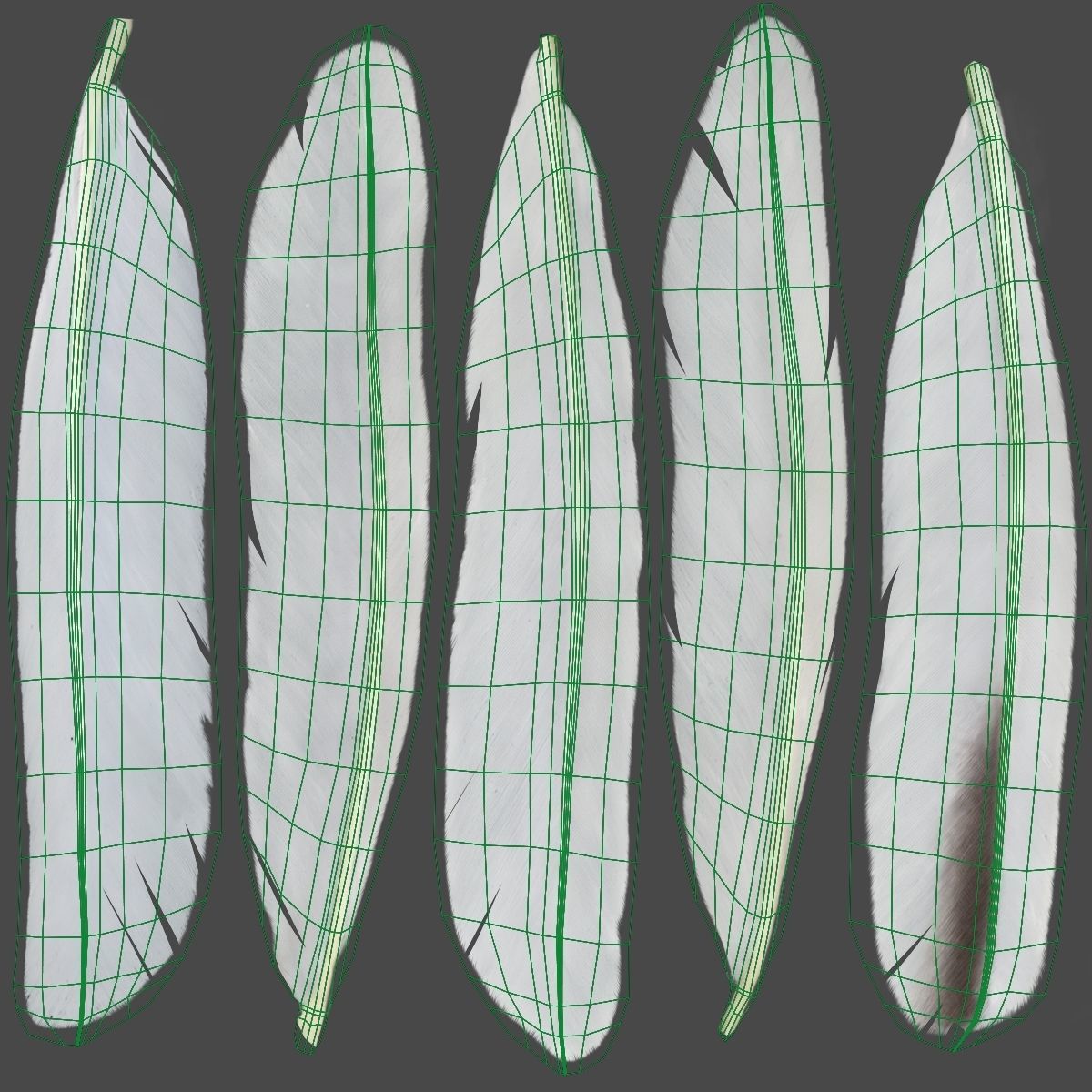 Red-Crowned Crane Animation VFX Grace 3D model_51