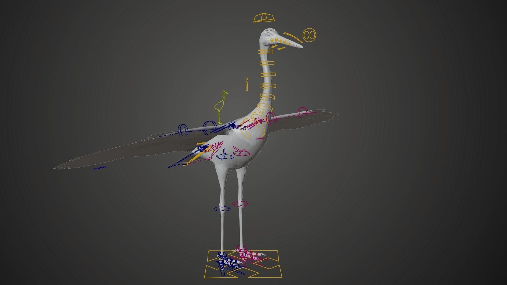 Red-Crowned Crane Animation VFX Grace 3D model_28