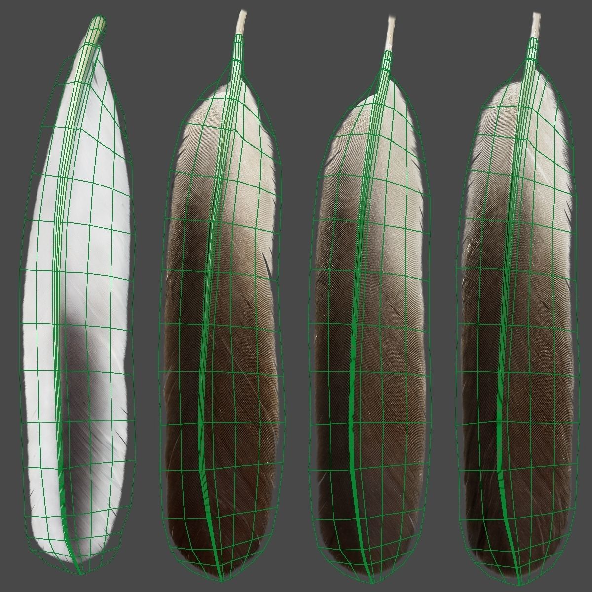 Red-Crowned Crane Animation VFX Grace 3D model_50