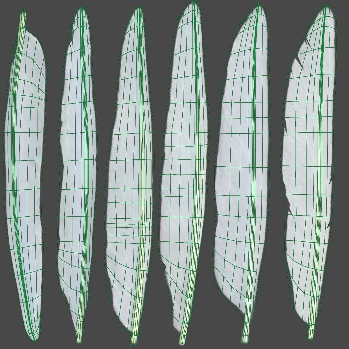 Red-Crowned Crane Animation VFX Grace 3D model_52