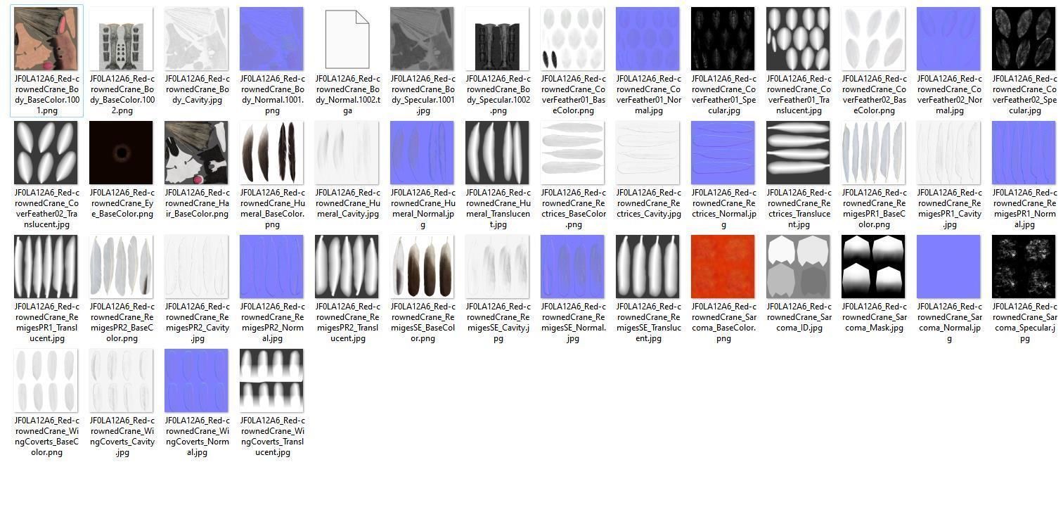 Red-Crowned Crane Animation VFX Grace 3D model_46