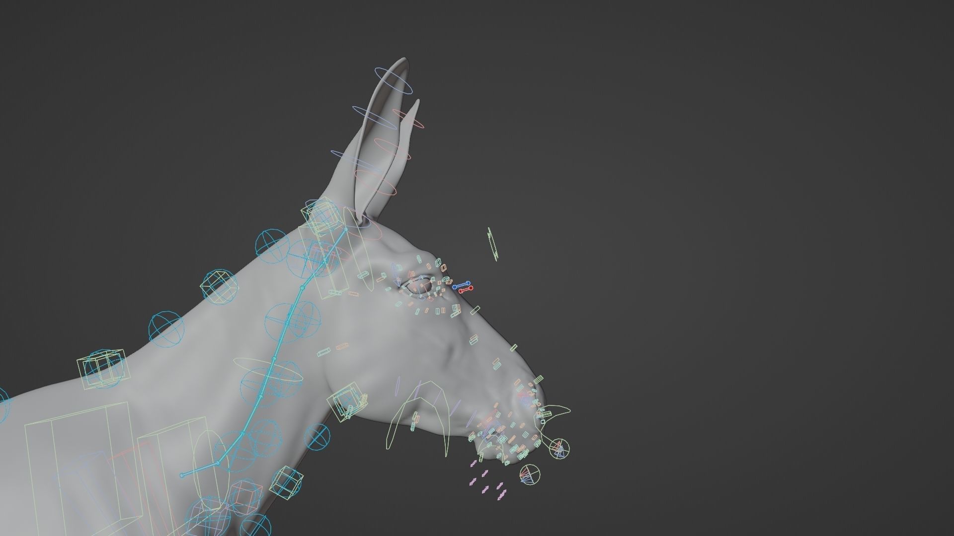 Donkey Summer Animation VFX Grace 3D model_20