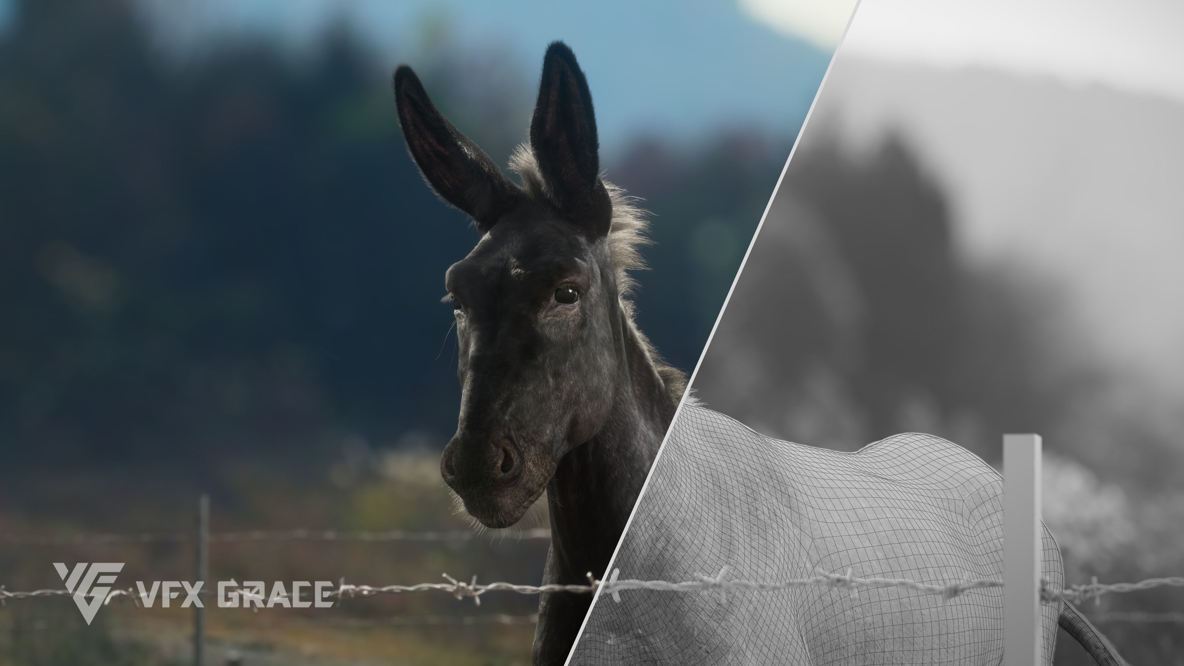 Donkey Summer Animation VFX Grace 3D model_6