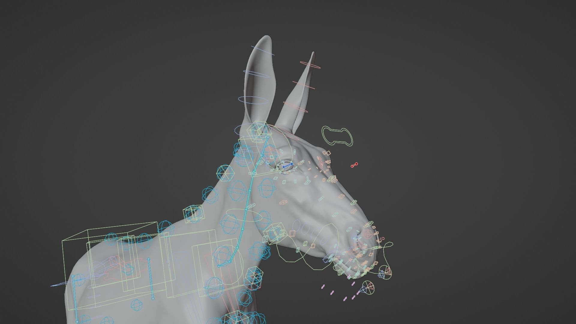 Donkey Summer Animation VFX Grace 3D model_17