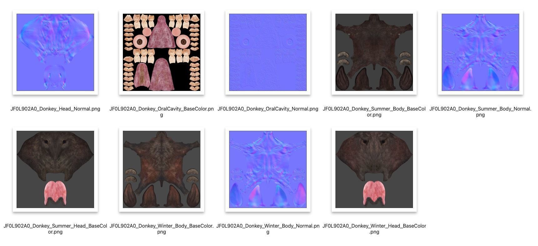 Donkey Summer Animation VFX Grace 3D model_24