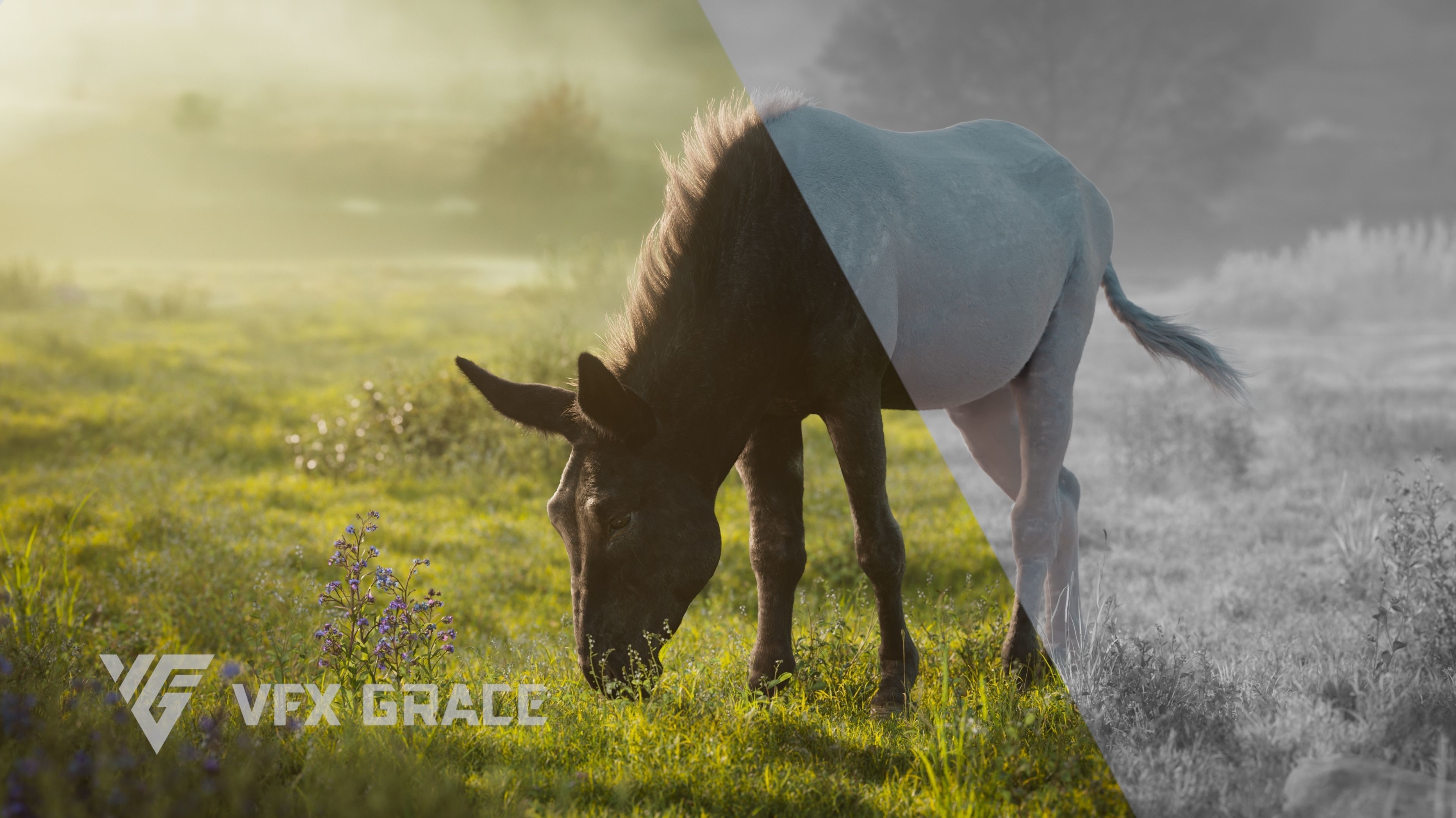 Donkey Summer Animation VFX Grace 3D model_9