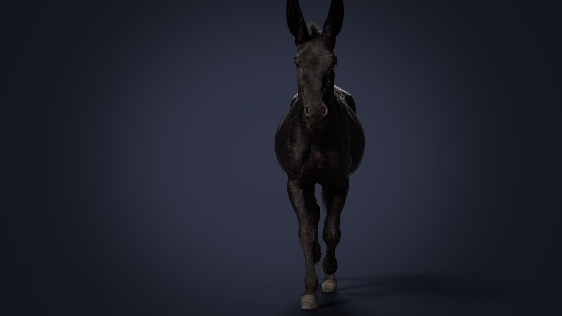 Donkey Summer Animation VFX Grace 3D model_11