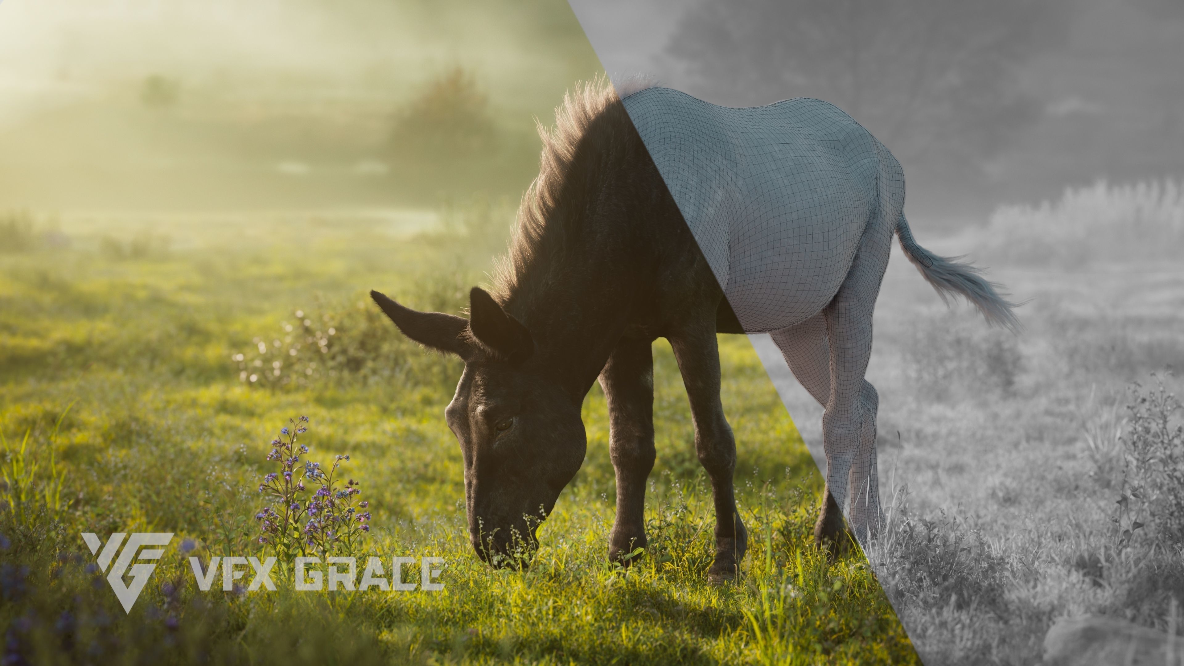 Donkey Summer Animation VFX Grace 3D model_10