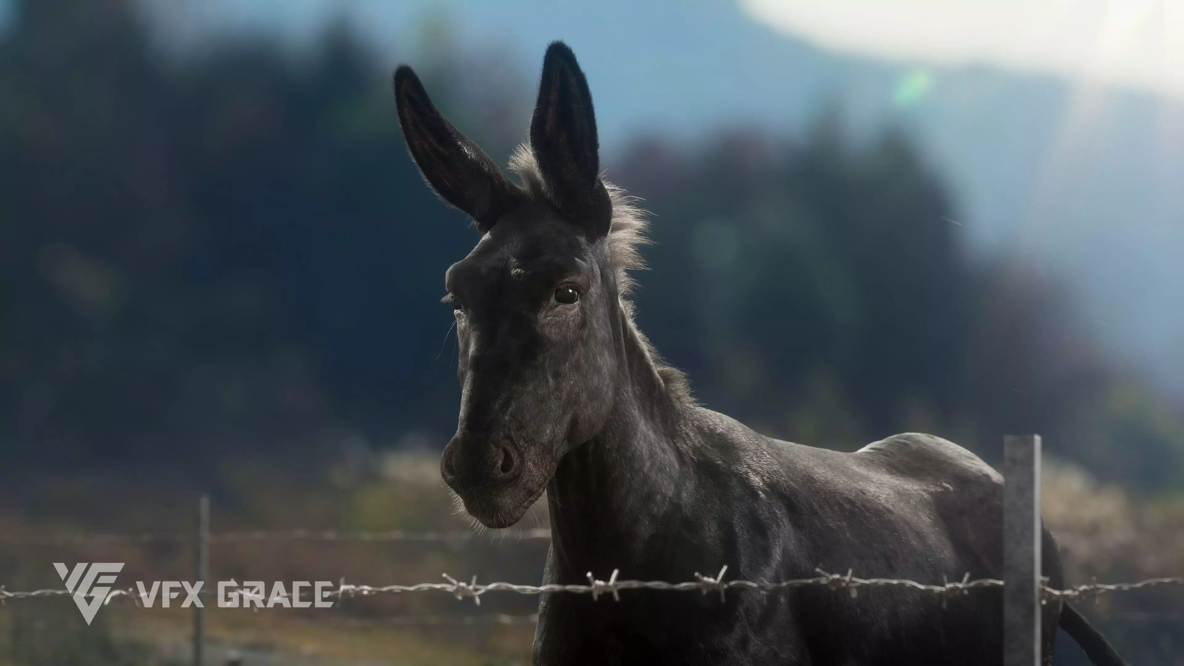 Donkey Summer Animation VFX Grace 3D model_0