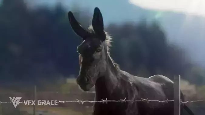 Donkey Summer Animation VFX Grace 3D model