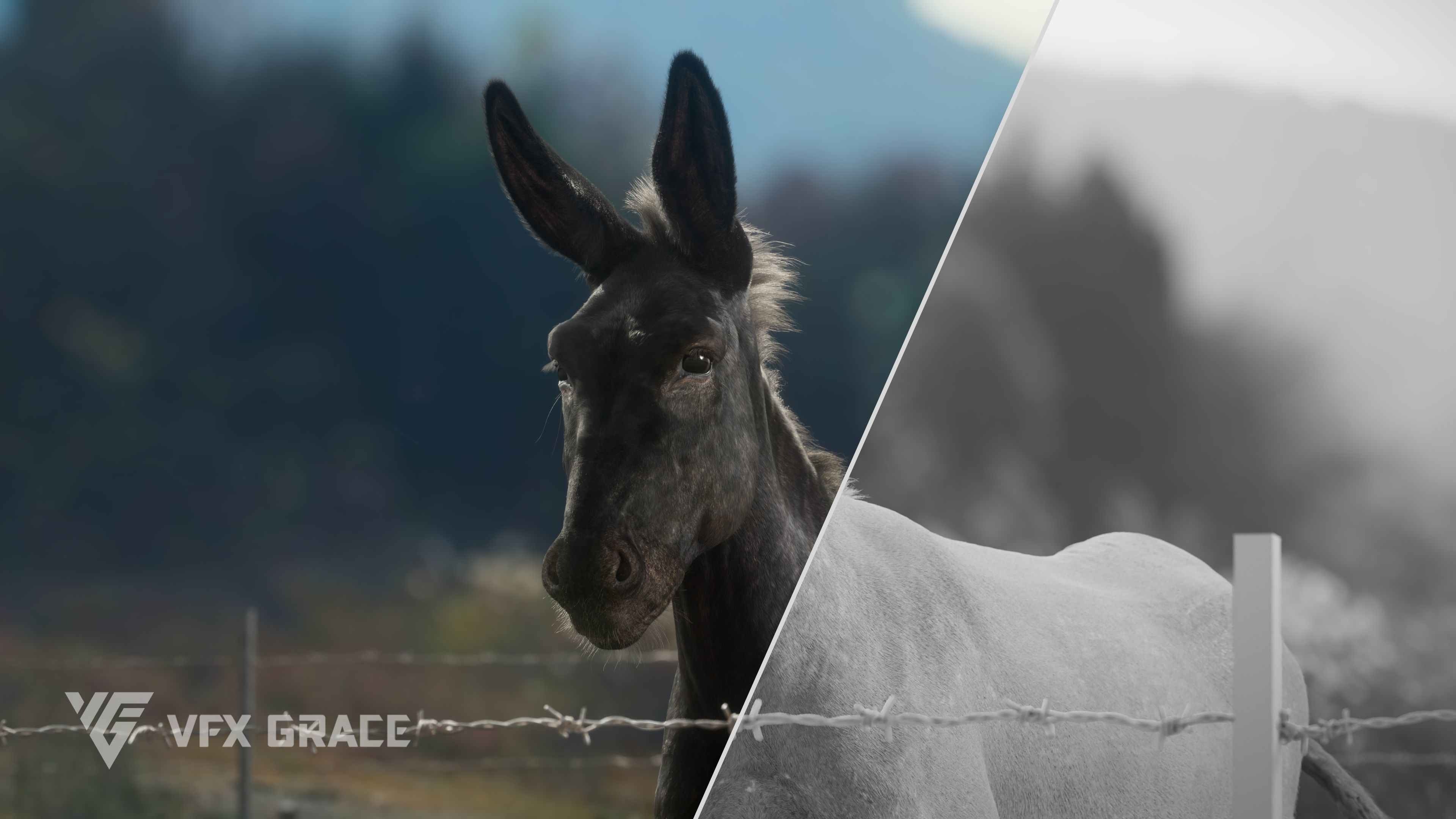 Donkey Summer Animation VFX Grace 3D model_7