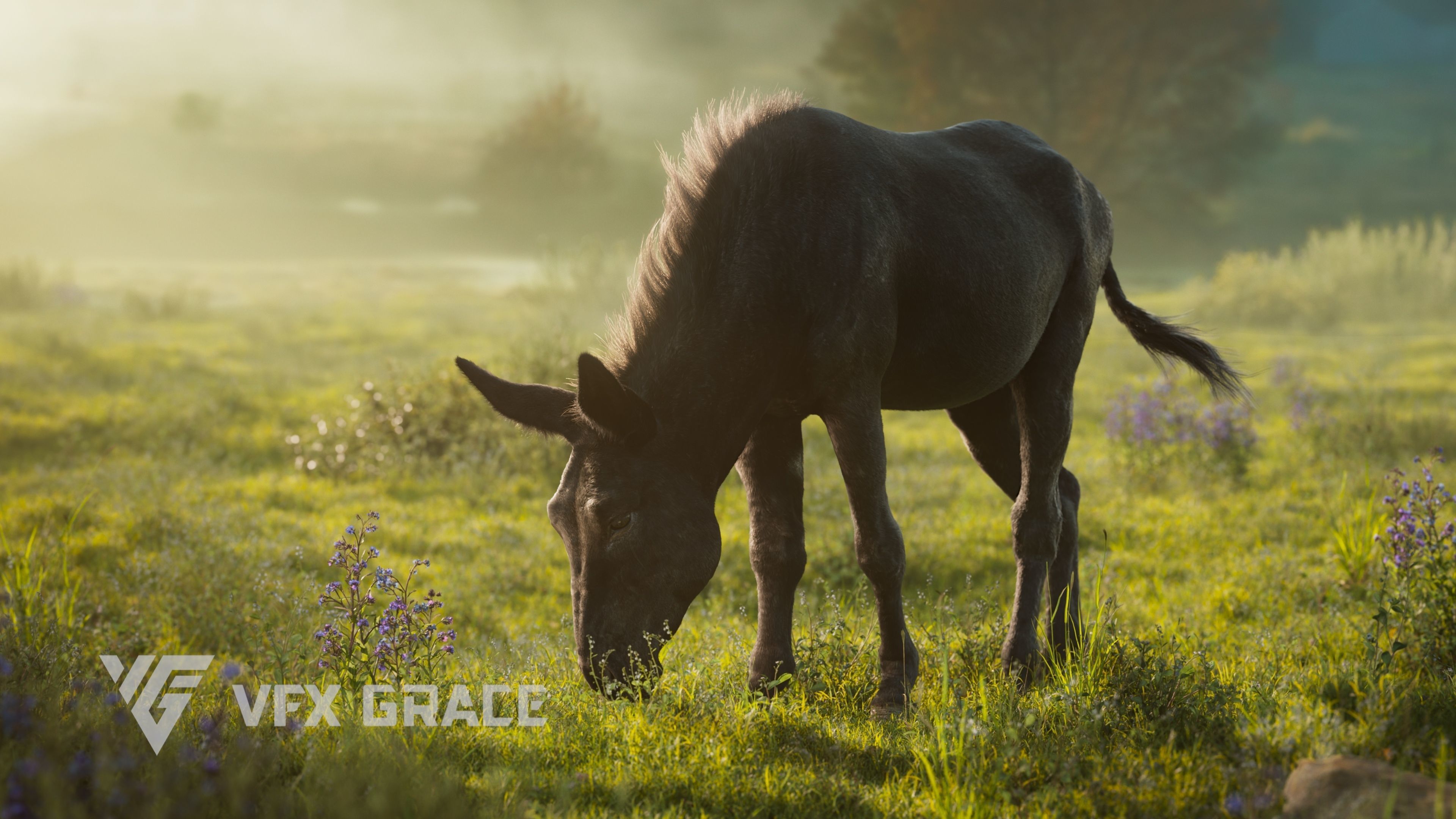 Donkey Summer Animation VFX Grace 3D model_8