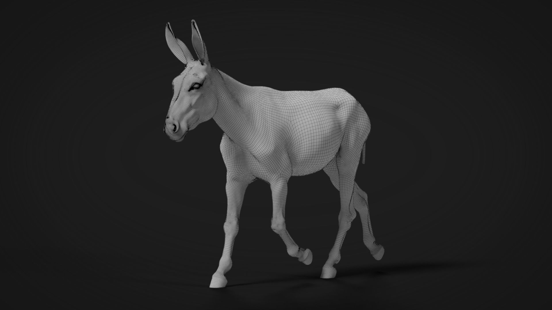 Donkey Animation VFX Grace 3D model_21
