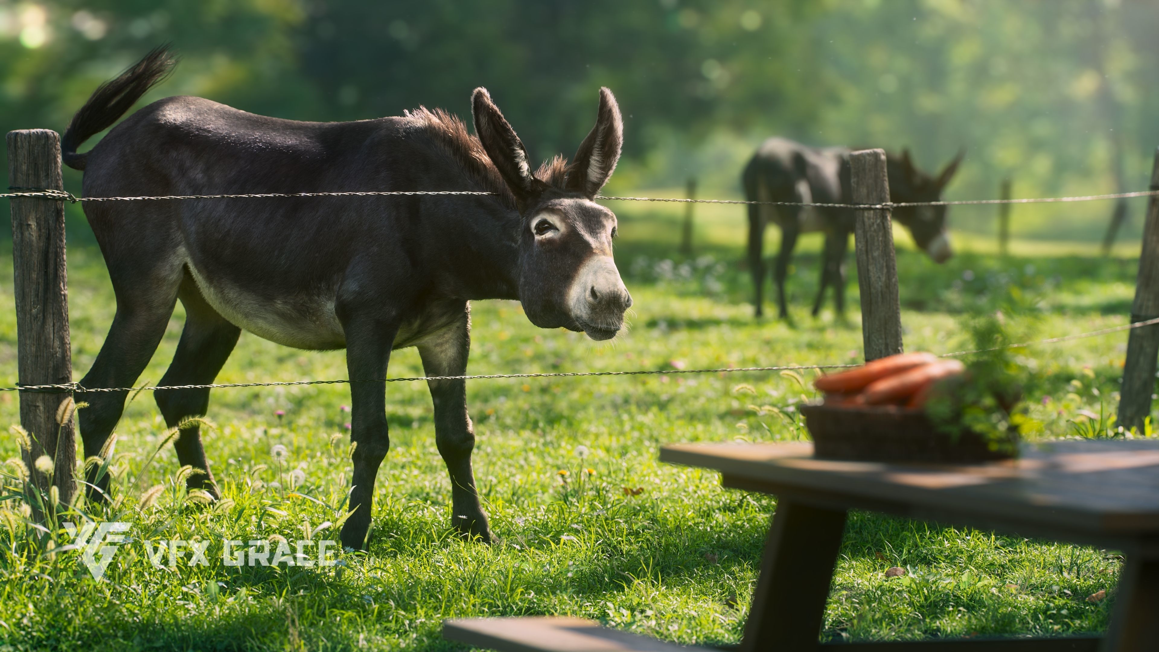 Donkey Animation VFX Grace 3D model_8