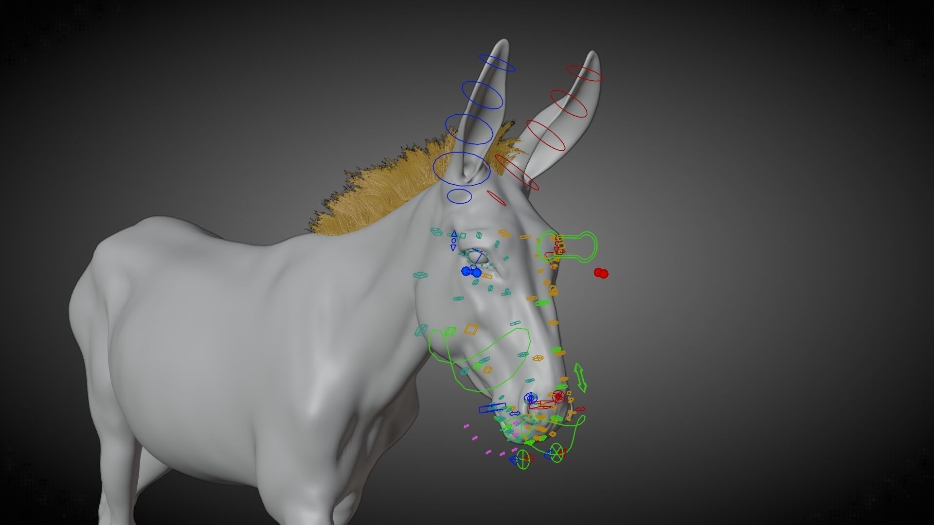 Donkey Animation VFX Grace 3D model_17