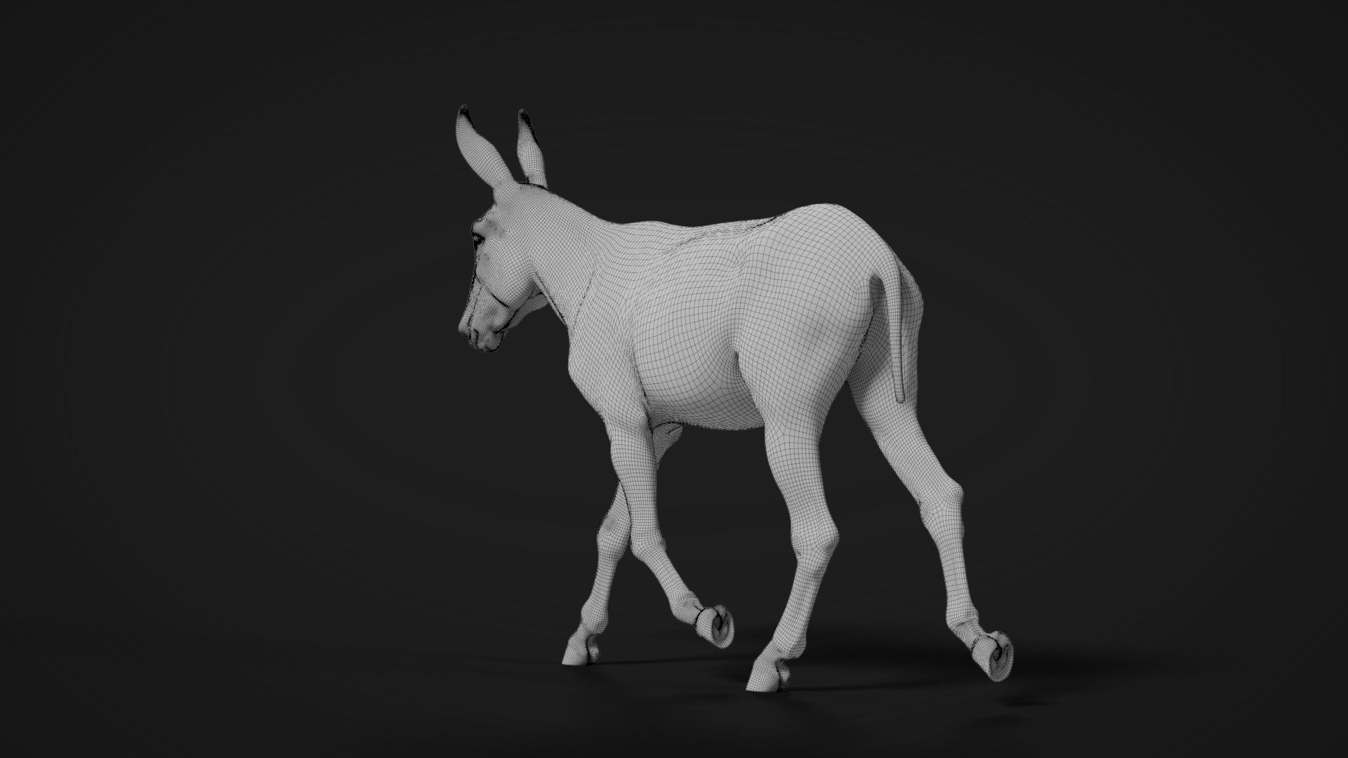 Donkey Animation VFX Grace 3D model_23