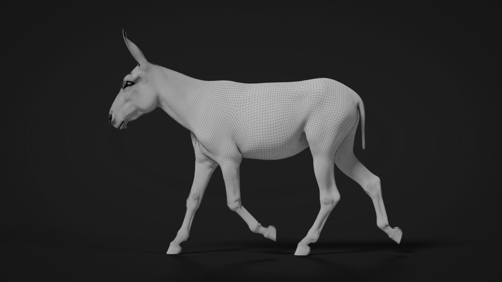 Donkey Animation VFX Grace 3D model_22
