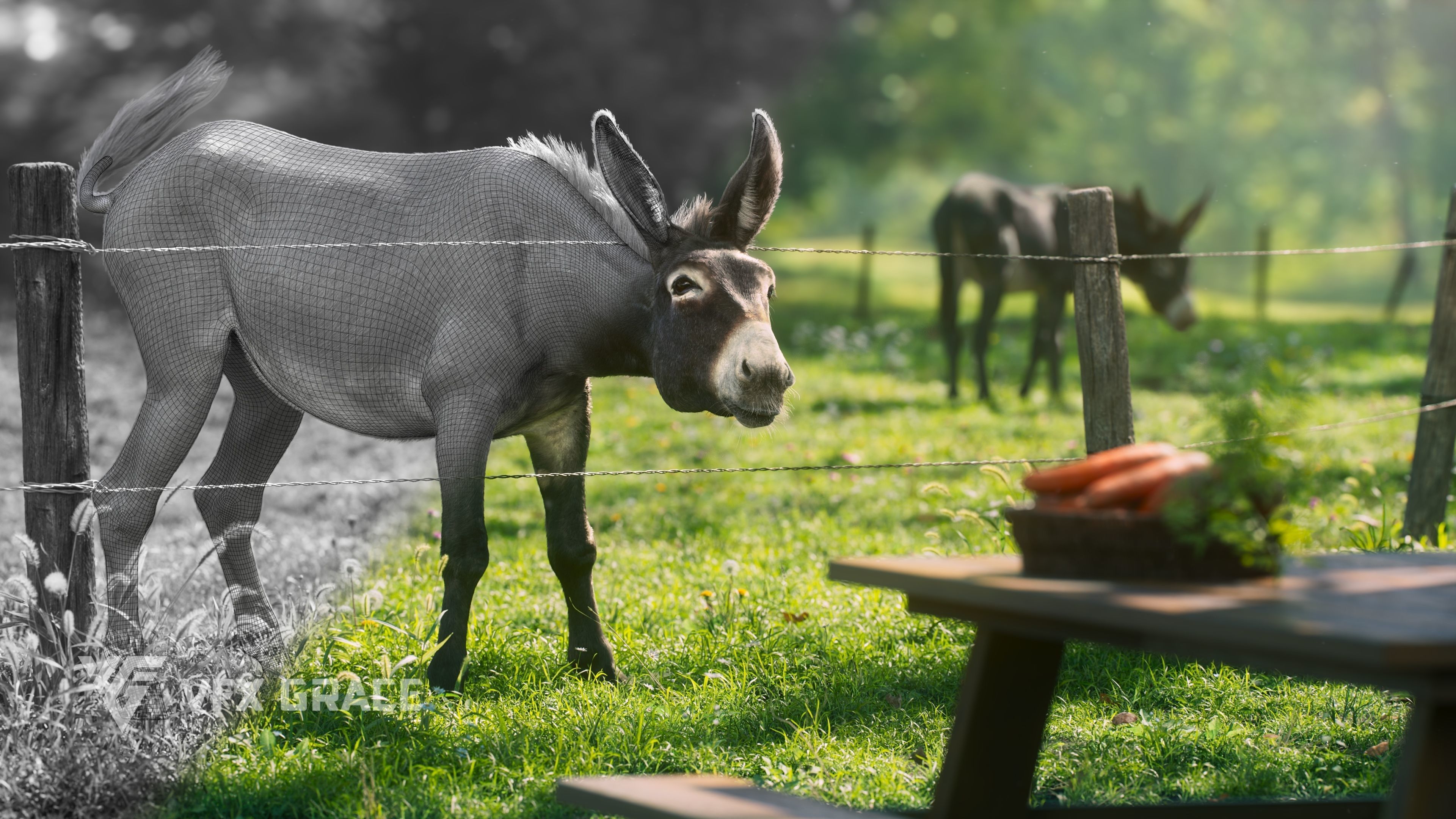 Donkey Animation VFX Grace 3D model_9