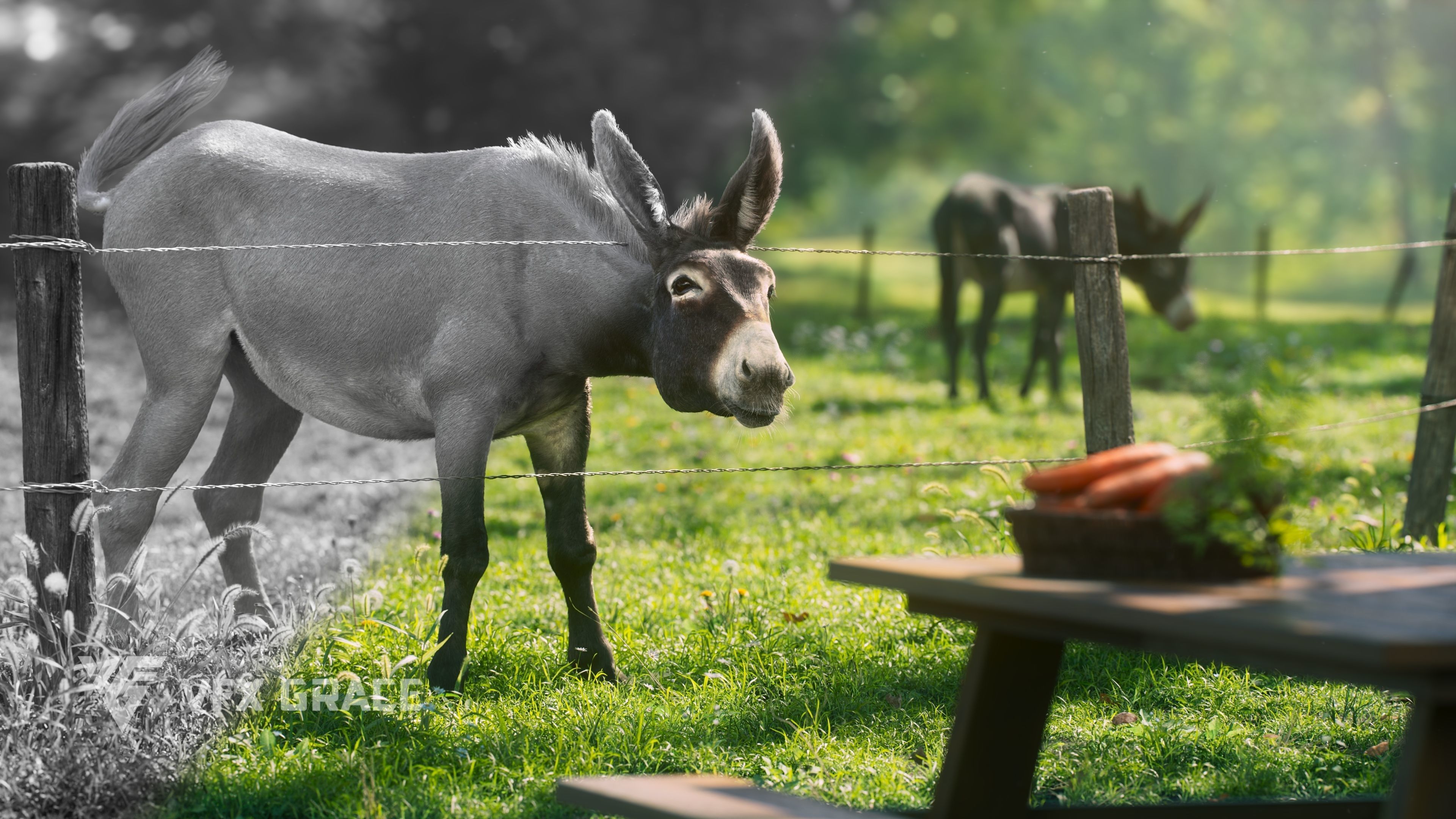 Donkey Animation VFX Grace 3D model_10