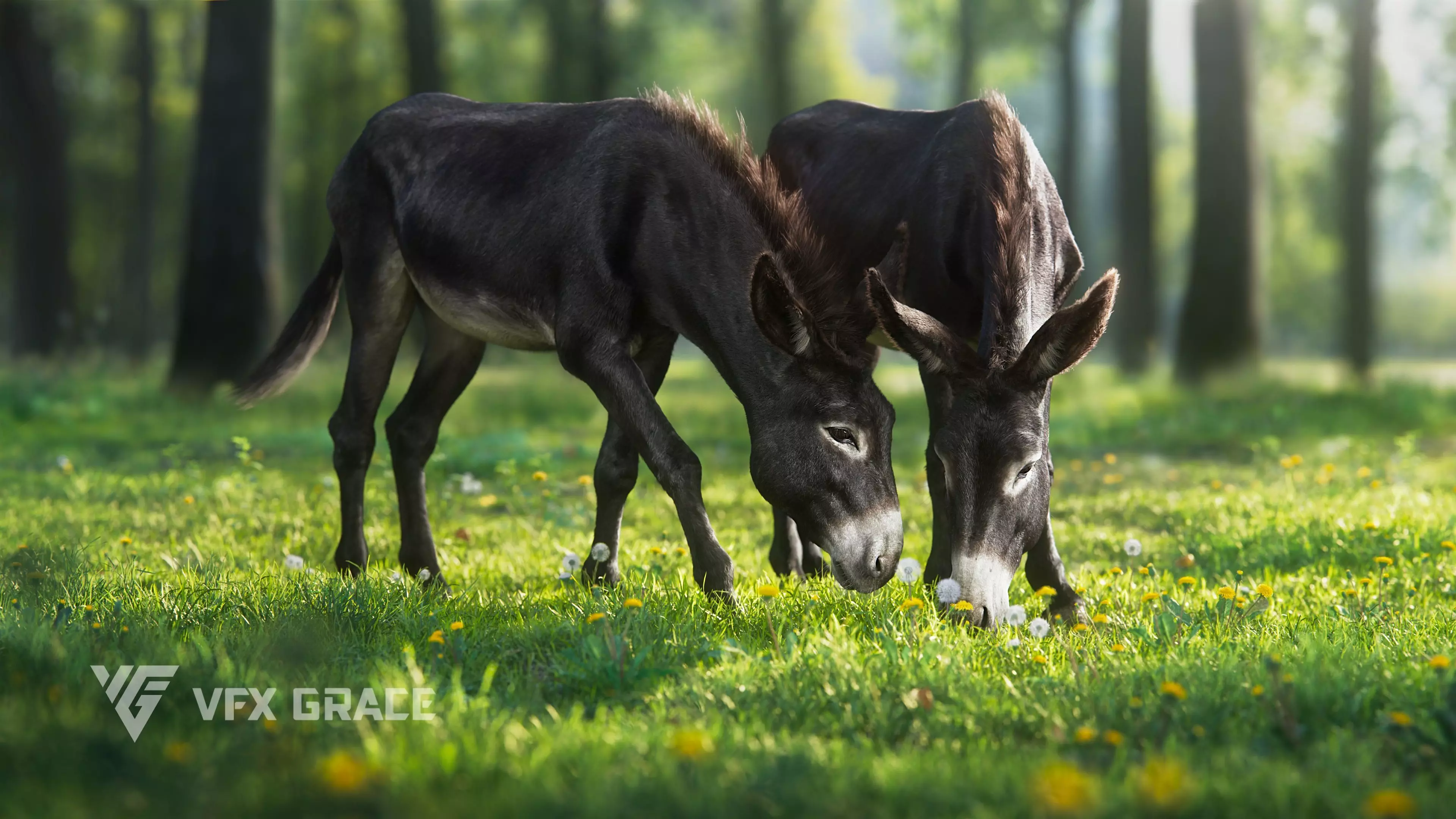 Donkey Animation VFX Grace 3D model_0