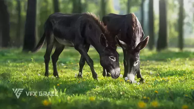 Donkey Animation VFX Grace 3D model