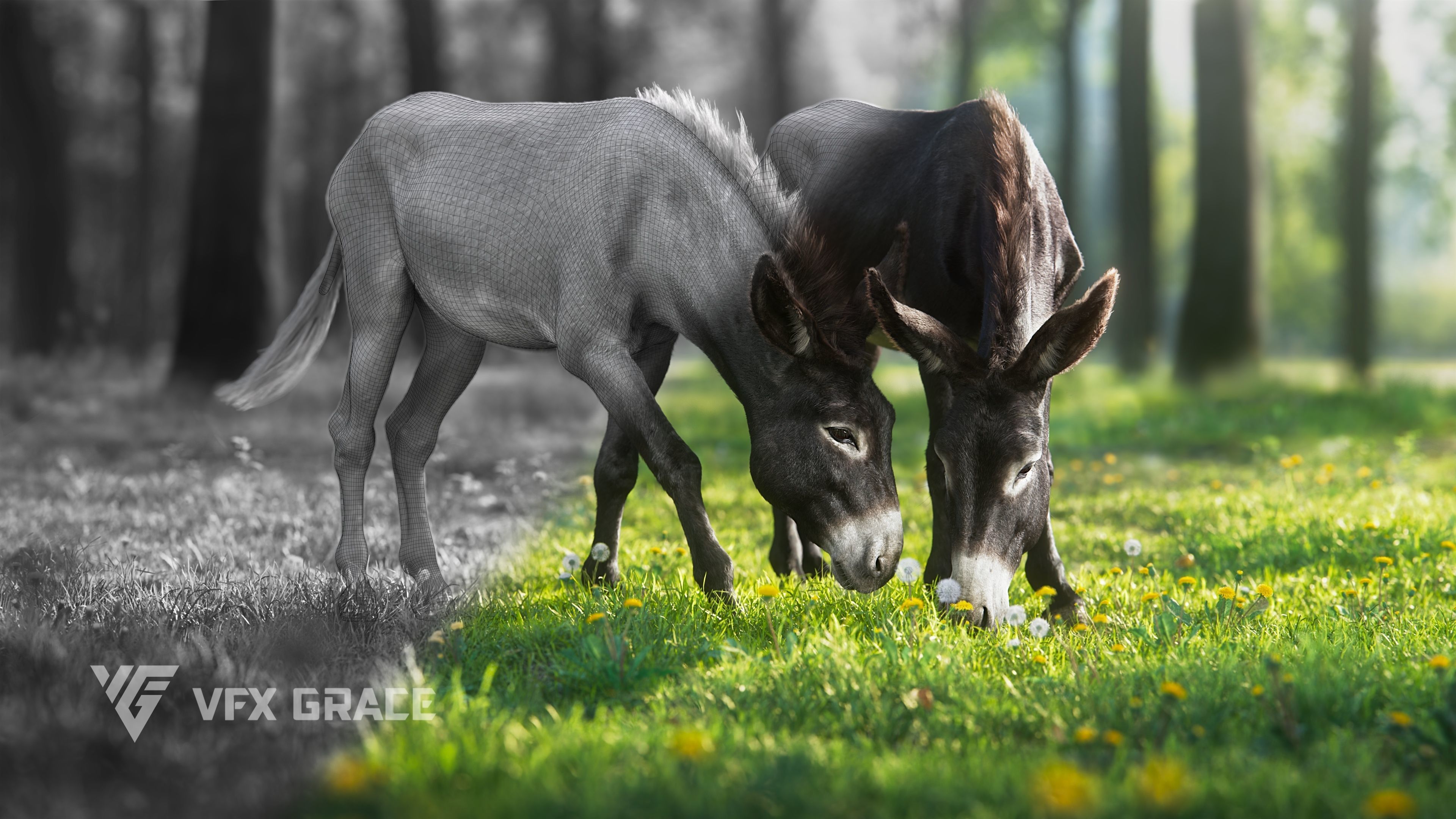 Donkey Animation VFX Grace 3D model_6