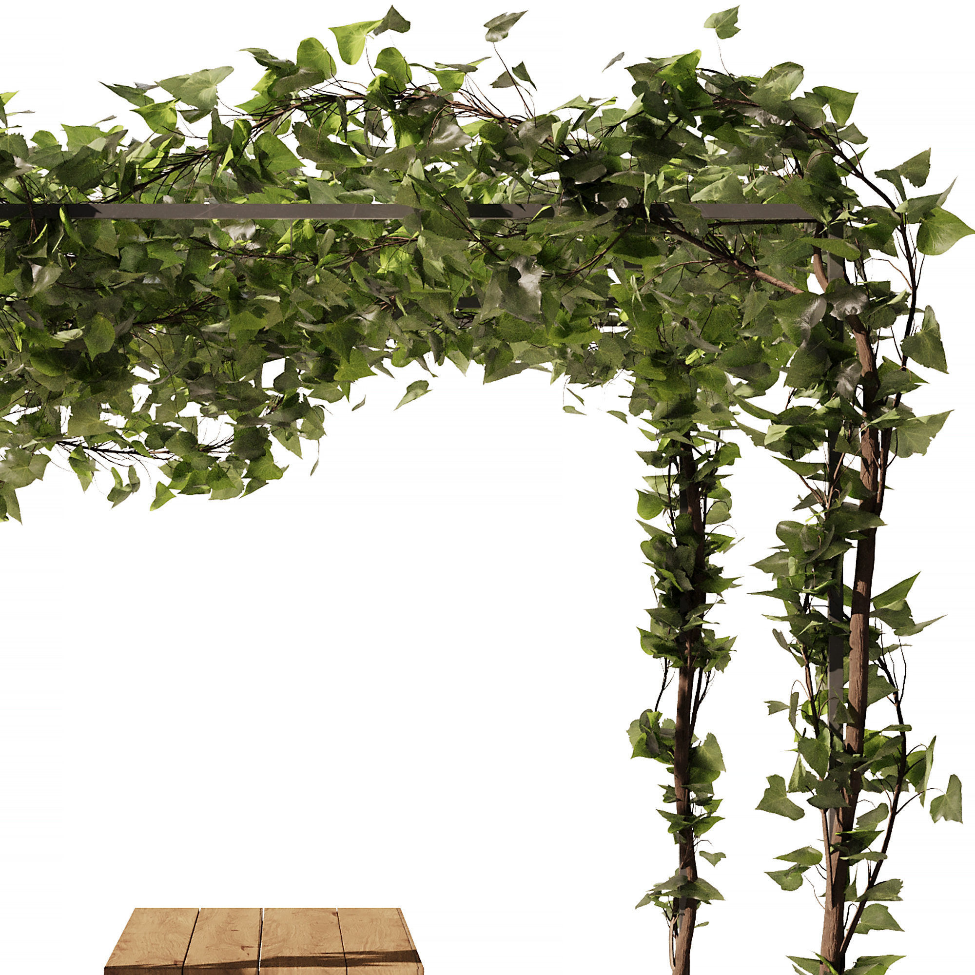 Outdoor Plant - Arbour Set1 3D model_7