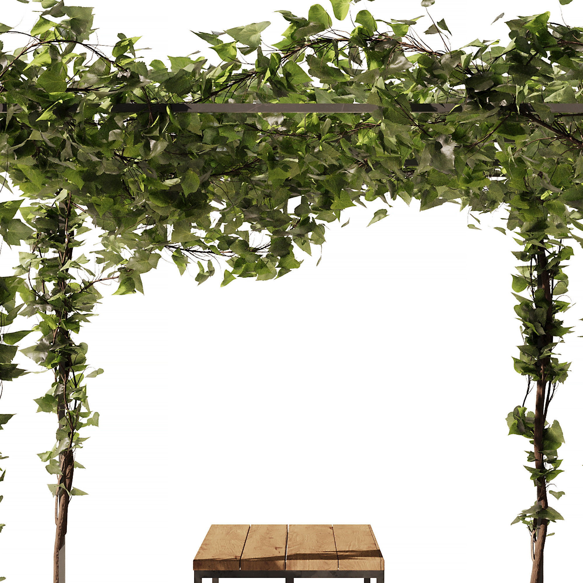 Outdoor Plant - Arbour Set1 3D model_5