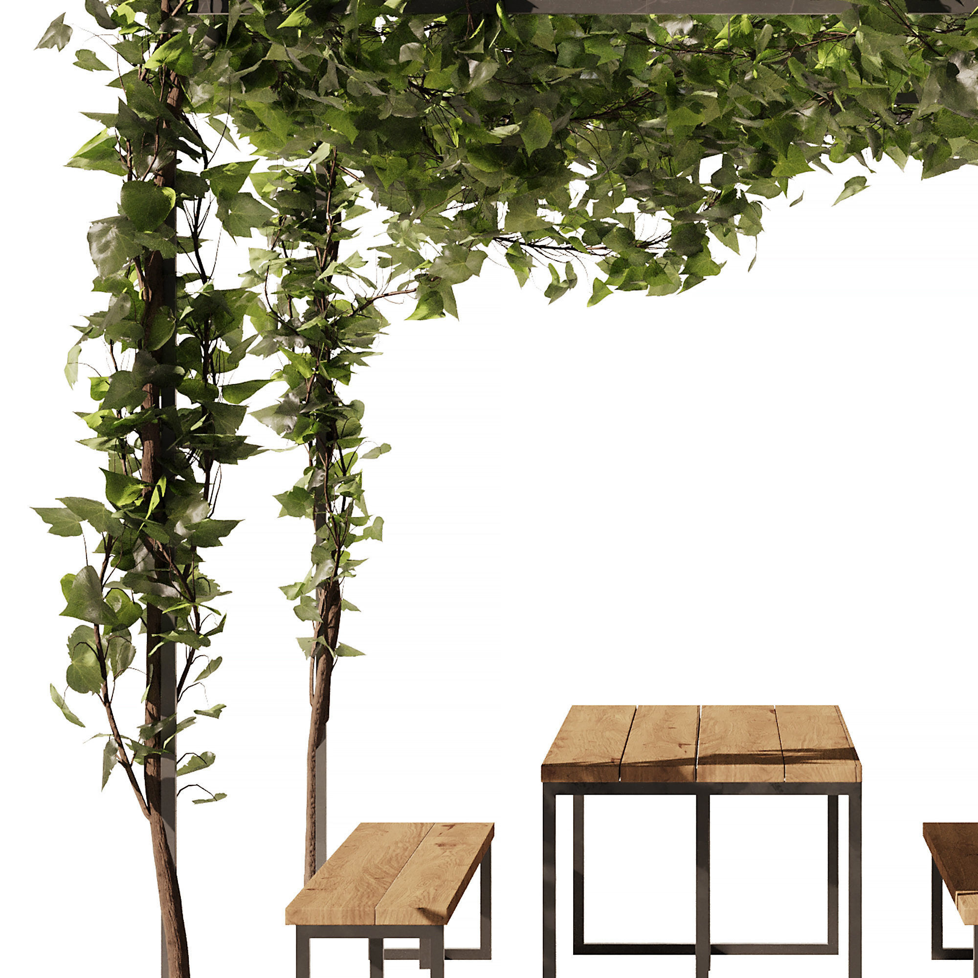 Outdoor Plant - Arbour Set1 3D model_9