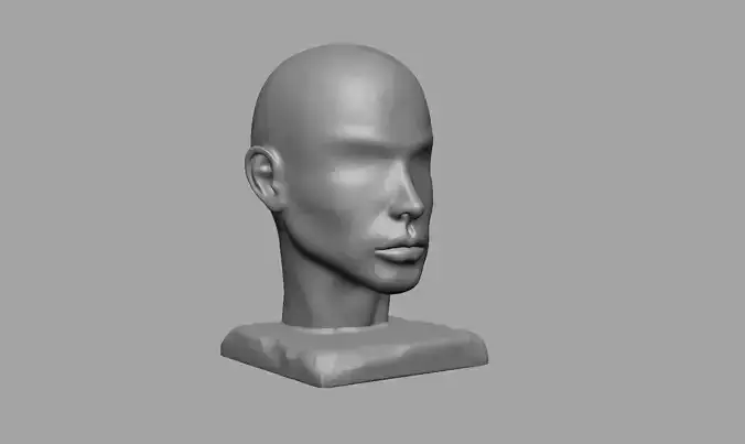 Conceptual Face Sculpture 02 3D print model