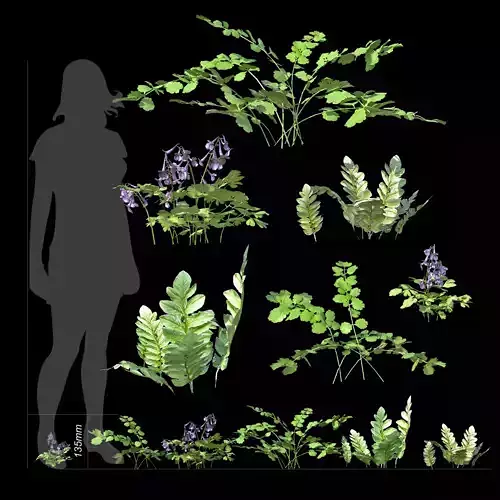 Urban plants and flowers low poly