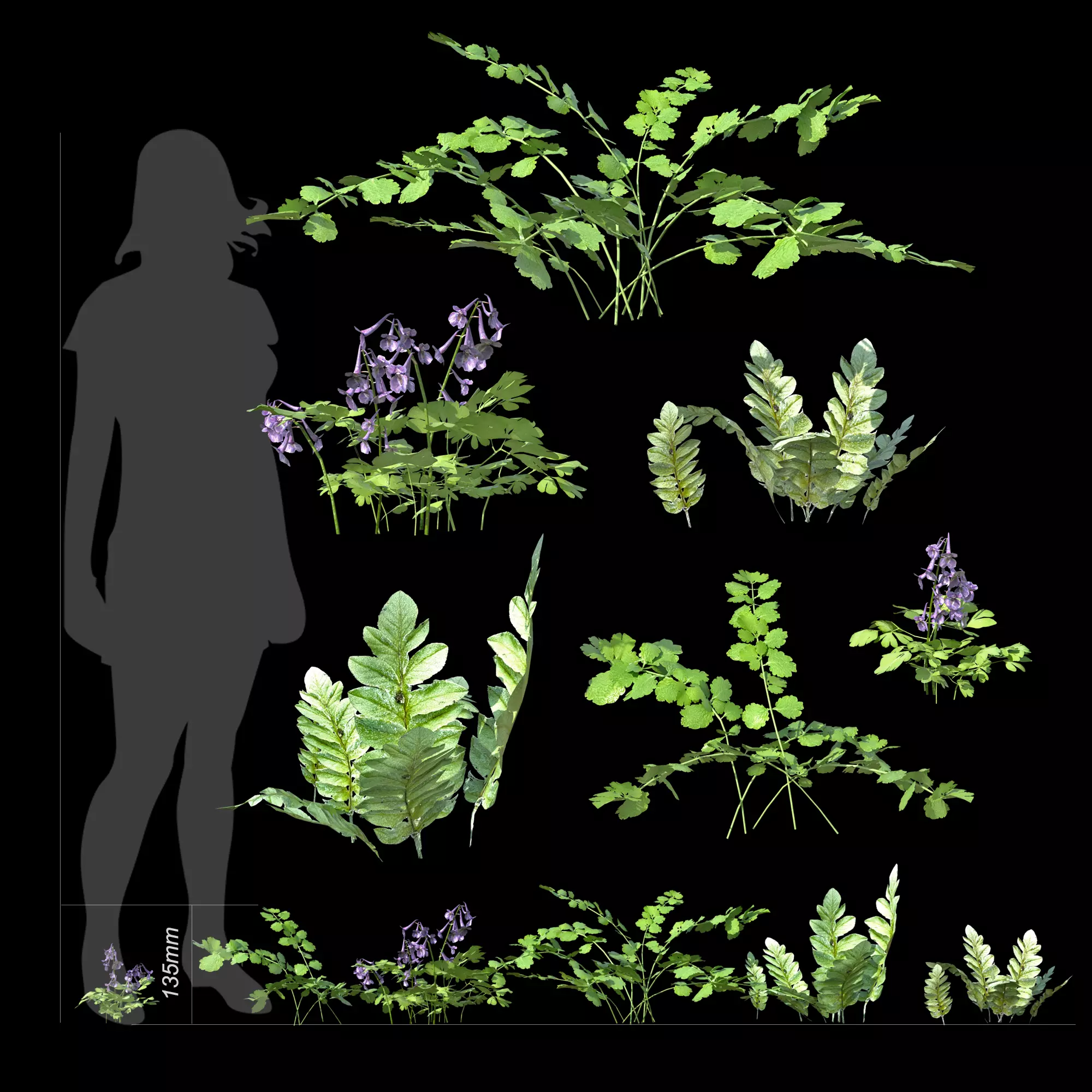 Urban plants and flowers low poly Low-poly 3D model