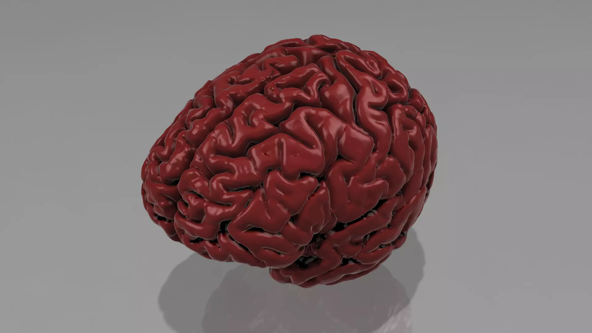 human brain 3D print model