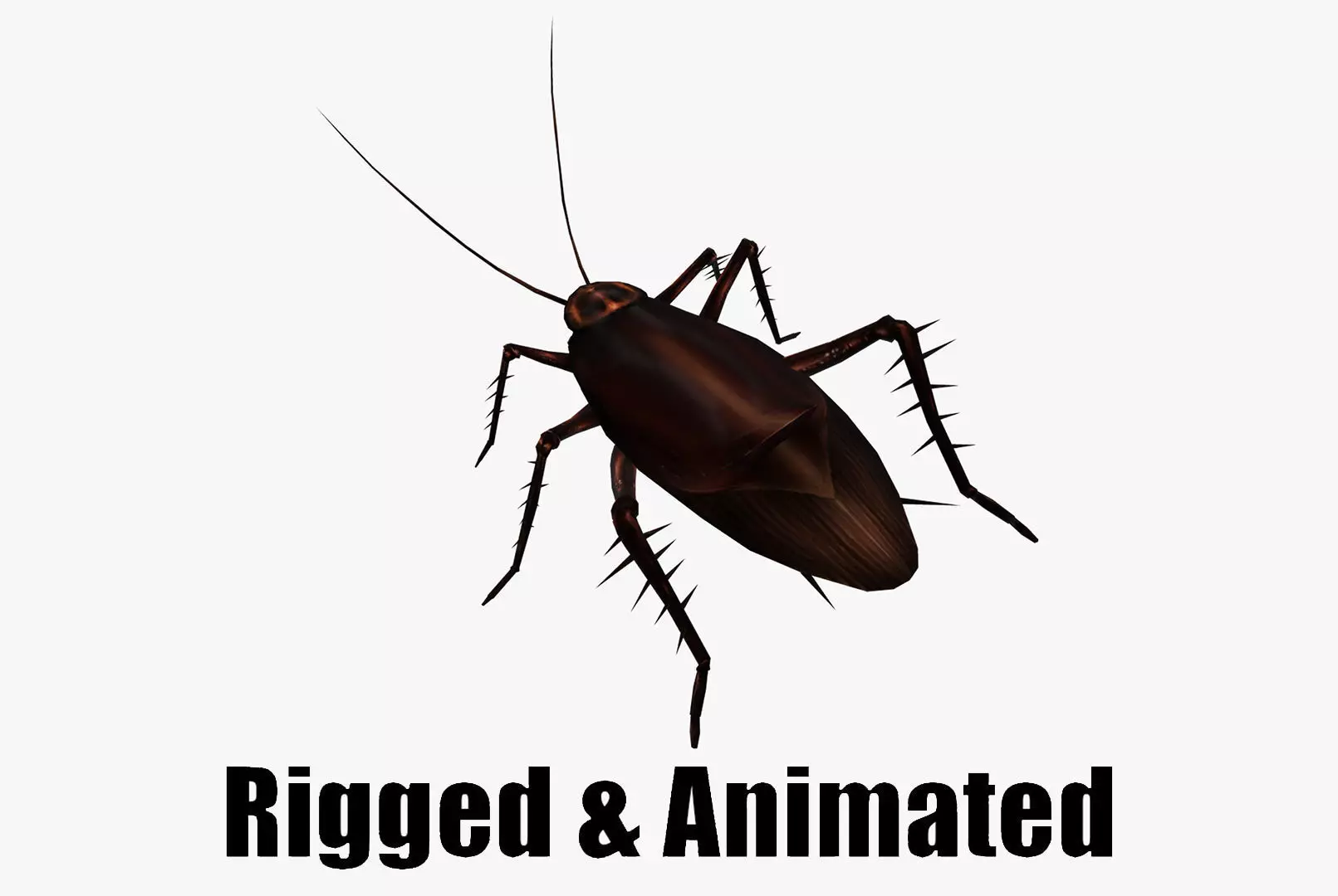animated cockroach Low-poly 3D model_0