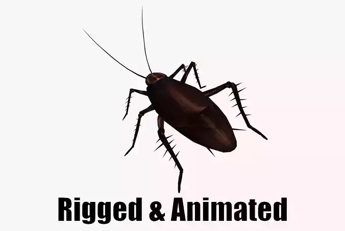 animated cockroach Low-poly 3D model