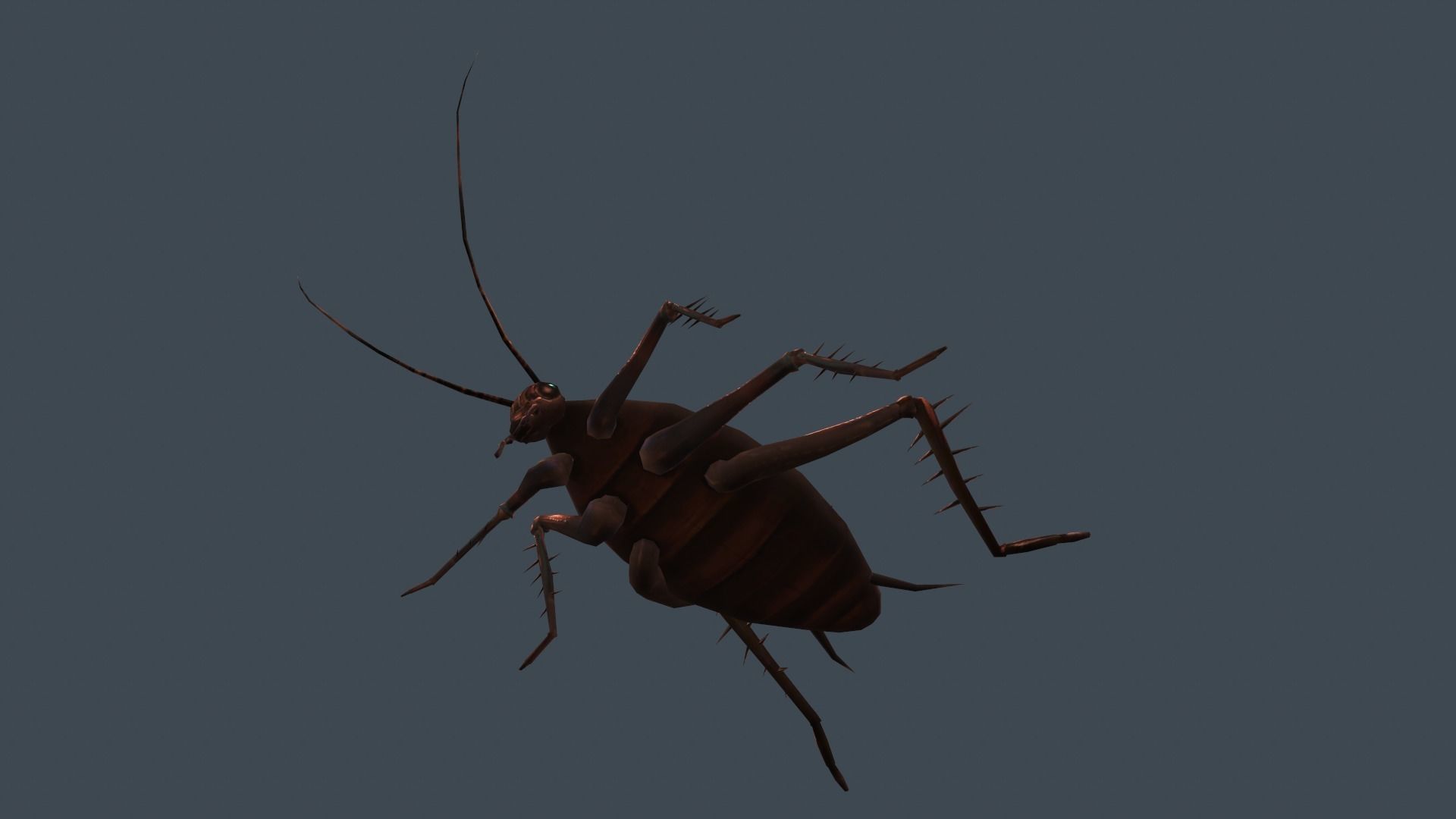 animated cockroach Low-poly 3D model_5