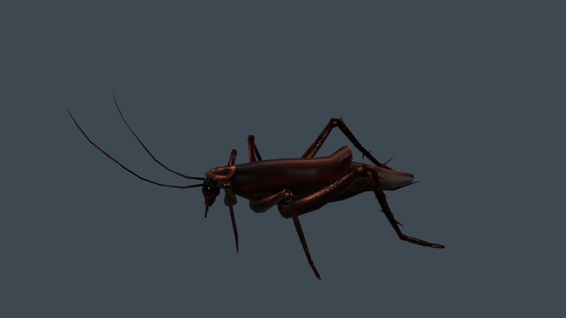animated cockroach Low-poly 3D model_6
