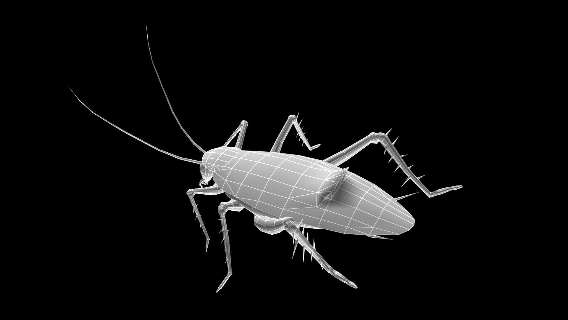 animated cockroach Low-poly 3D model_4