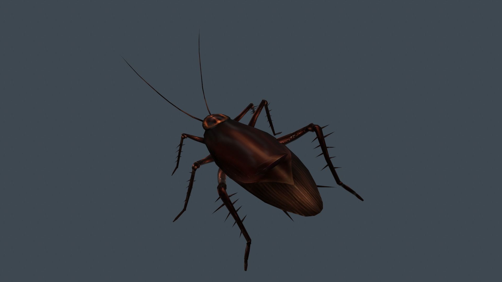 animated cockroach Low-poly 3D model_3