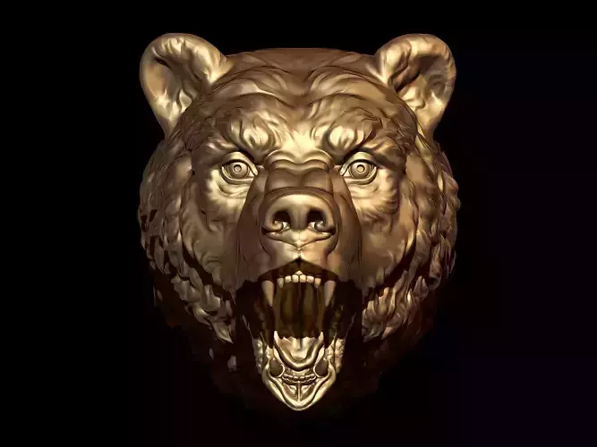 Bear 3D face 