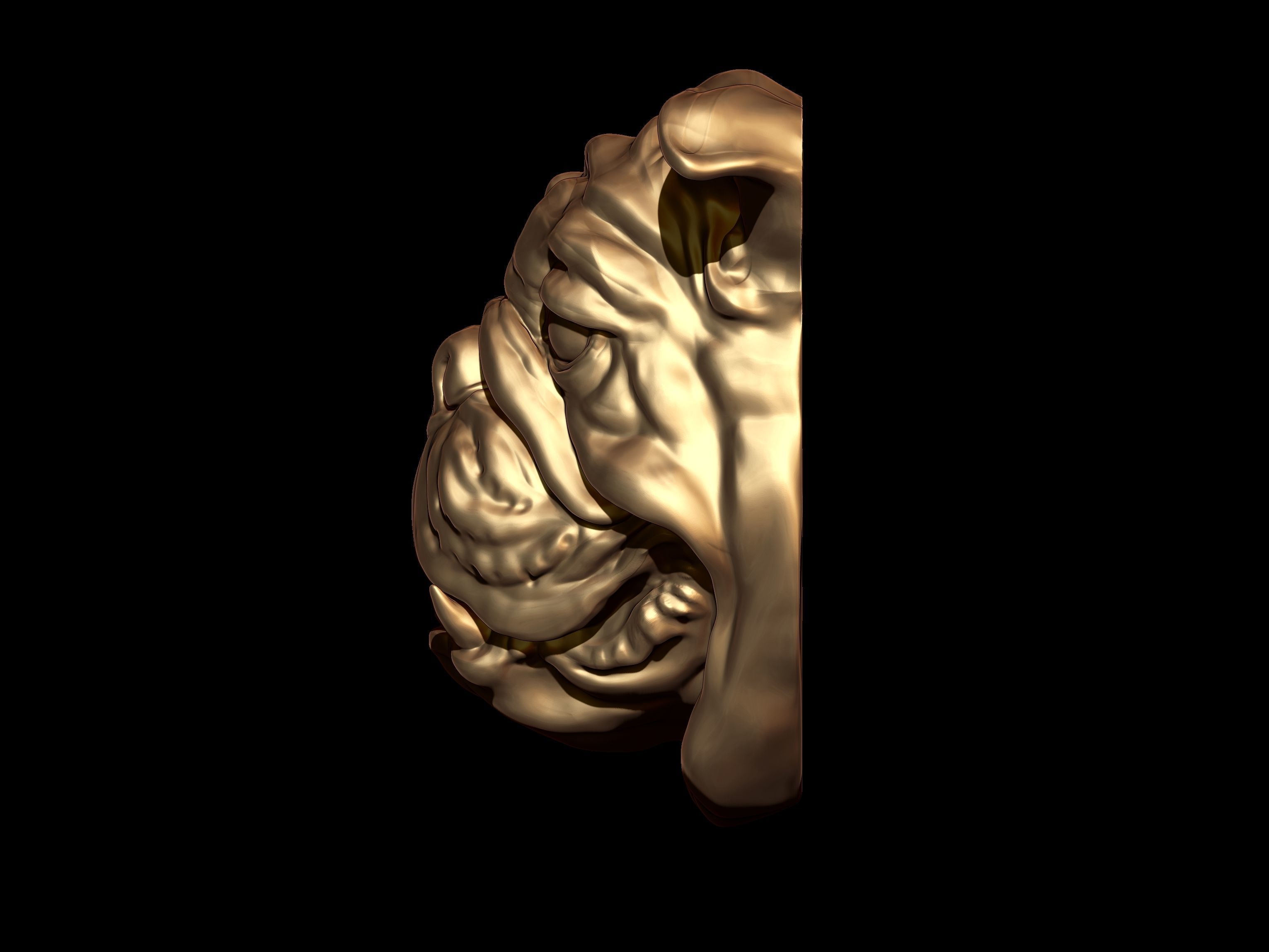 Mops dog face  3D print model_1