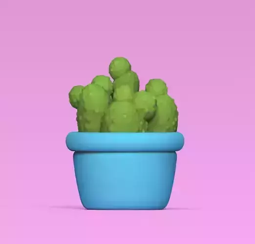 Mini Cactus